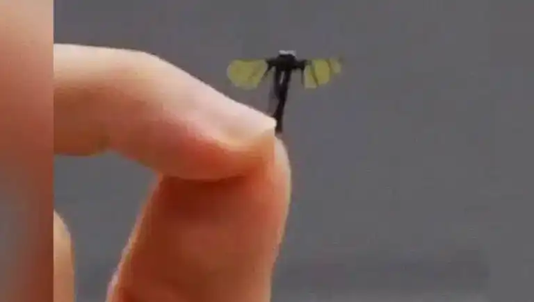 Çin'den Sinek Büyüklüğünde Askeri Drone!